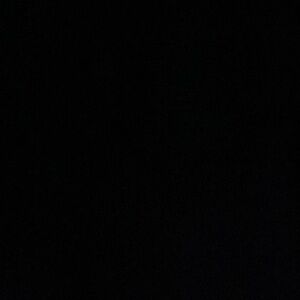 Meet your Posher, Sidney